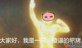 日日日视频,揭秘日常生活背后的趣味与智慧